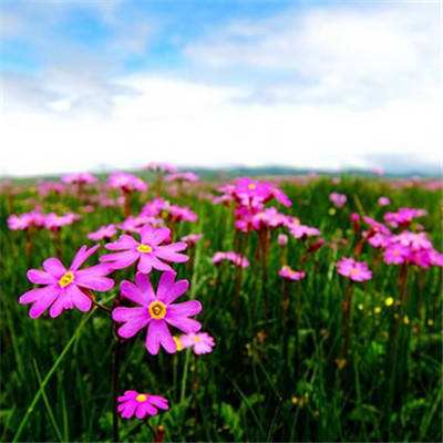 B体育官方网站下载截图